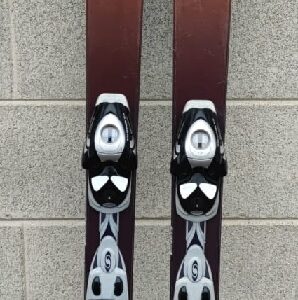 sci salomon orange