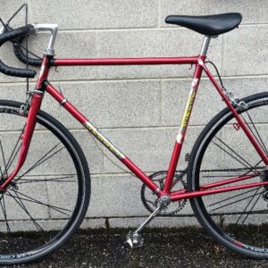 bicicletta corsa amatoriale vintage con ruote moderne professionali