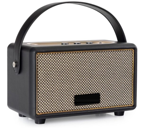 cassa portatile BT stile marshall
