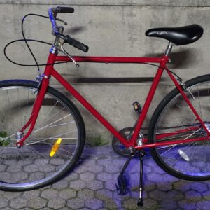 CITYBIKE REDSPORT 28